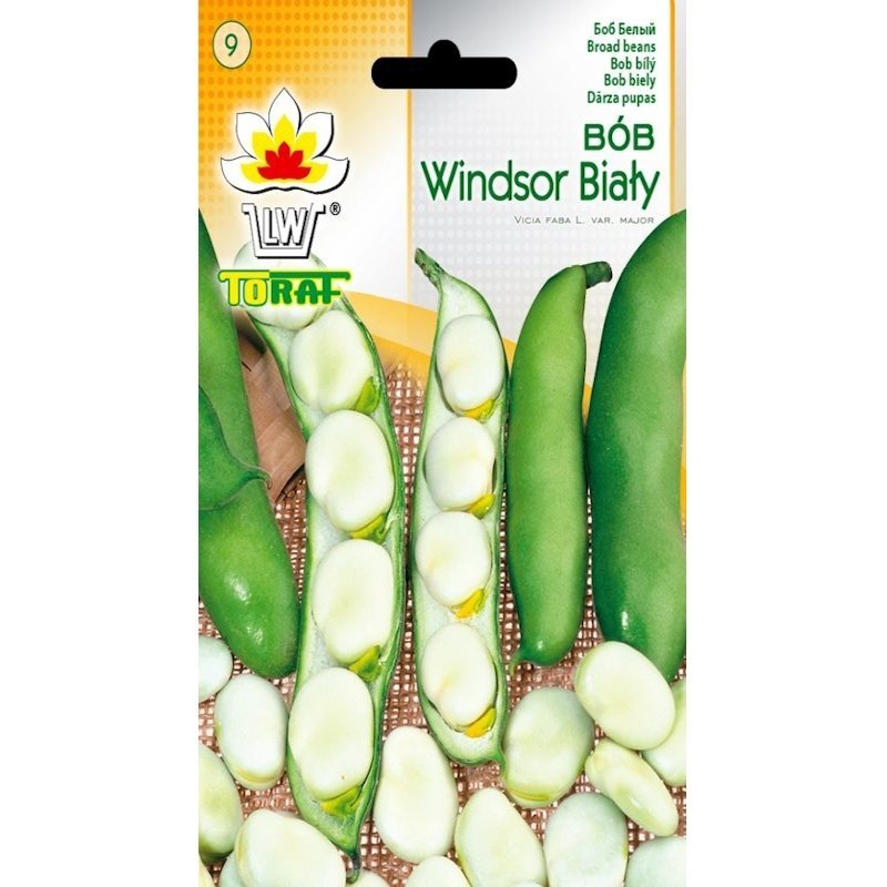Bób (Windsor Biały) - nasiona