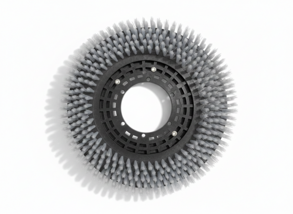 Szorowarka do podłóg T2-B