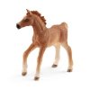 Schleich Horse Club 42361 Źrebie z kocem Opiekunka Koń