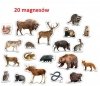 Zwierzęta Leśne Zestaw 20 magnesów dla dzieci Magnesy