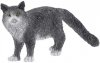 Schleich 13893 Kot rasy Maine Coon Kotek Figurka kotka