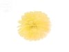 Pompon bibułowy żółty 25cm 1szt
