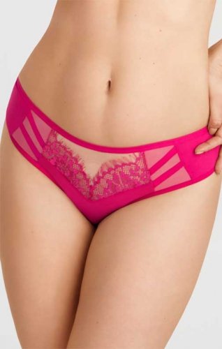 Brazyliany amarantowe Gorsenia K498/1 
