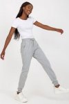 Spodnie Dresowe Model B-006.02 Grey - BFG
