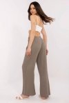 Spodnie Damskie Model TW-SP-BI-3204.70 Brown - Och Bella