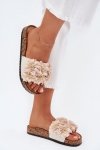 Sandał Klapki Model Ferenza 25SD21-8319 Beige - Step in style