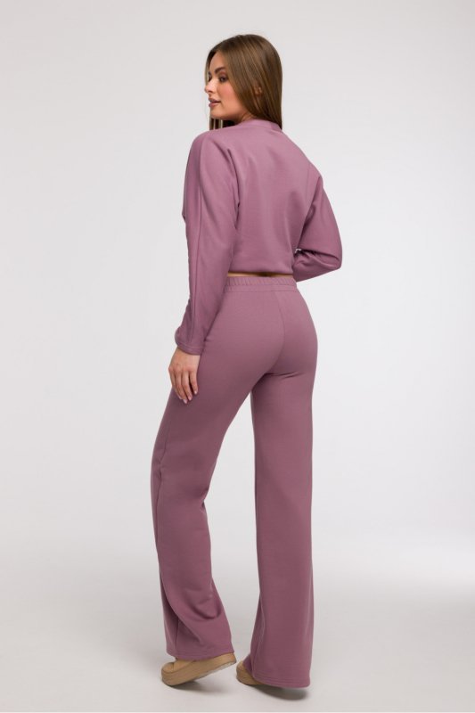 Spodnie Dresowe Model B296 Wrzos - BeWear