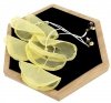 Goldene Ohrringe Seidenblumen