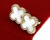 gold earrings made of stainless steel