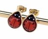 gold earrings made of stainless steel