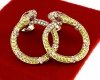 gold earrings made of stainless steel