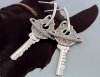 EARRINGS SILVER Zirconia GOLD PLATED WHITE GOLD