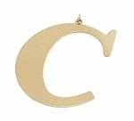 gold pendant stainless steel