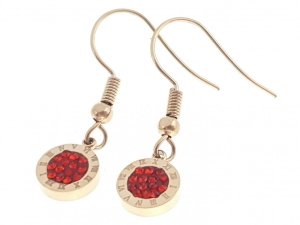 EARRINGS SILVER STAINLESS STEEL CELEBRITY