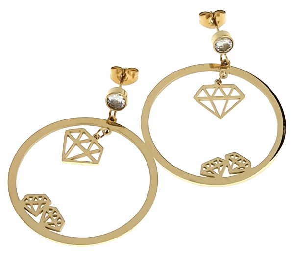 EARRINGS SILVER STAINLESS STEEL CELEBRITY
