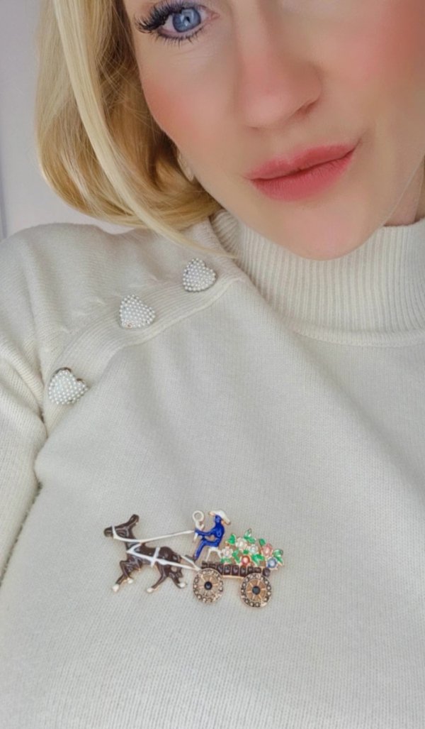 elegant gold brooch
