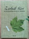 Zielnik liści do samodzielnego zbierania i wklejania