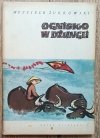 Ognisko w dżungli: opowieści i baśnie z Wietnamu