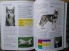 Pies. Leksykon wiedzy • Rasy, pielęgnacja, odżywianie