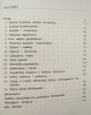 Tadeusz Malinowski Wielkopolska w dobie Prasłowian