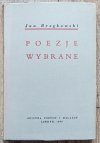 Jan Brzękowski Poezje wybrane