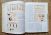 Koty: zachowanie - opieka - anatomia - rasy
