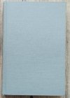The Aesthete in the City. The Philosophy and Practice of American Abstract Painting in the 1980s