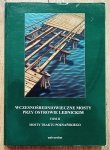 Wczesnośredniowieczne mosty przy Ostrowie Lednickim tom 2: Mosty traktu poznańskiego