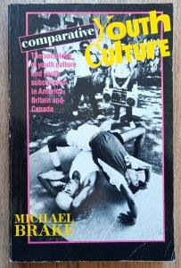 Comparative Youth Culture. The Sociology of Youth Cultures and Youth Subcultures in America, Britain and Canada