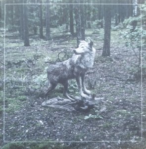 Kim Nowak • Wilk • CD