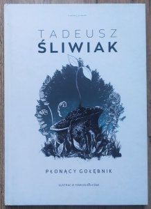 Tadeusz Śliwiak • Płonący gołębnik
