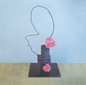 Methyl Ethel • Oh Inhuman Spectacle • CD
