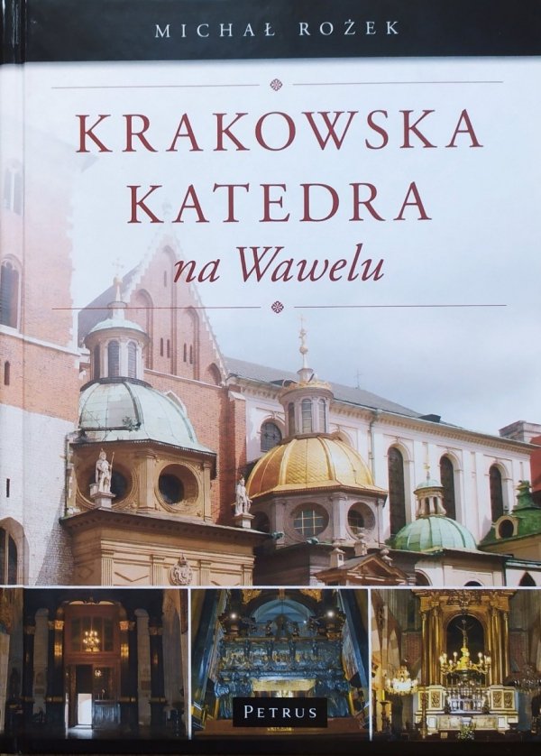 Michał Rożek Krakowska katedra na Wawelu