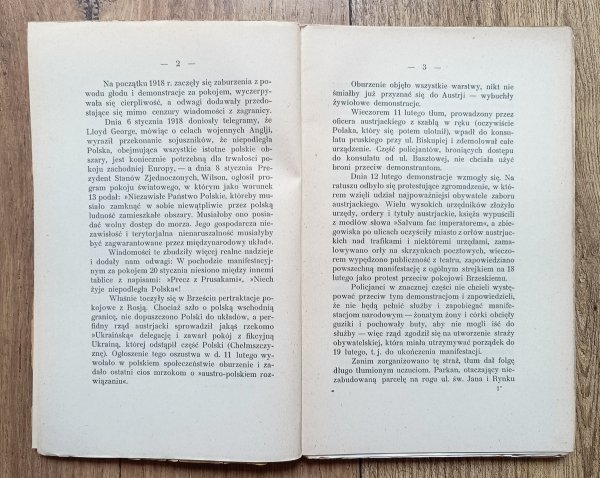 Klemens Bąkowski Kronika Krakowa z lat 1918-1923