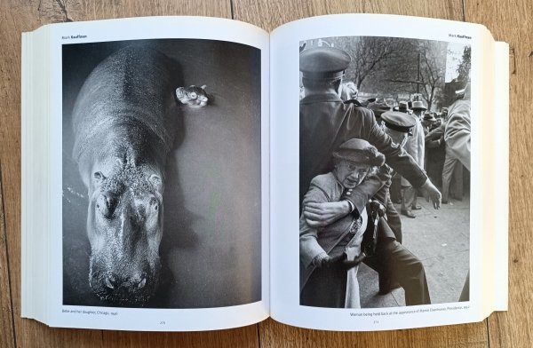 The Great LIFE Photographers