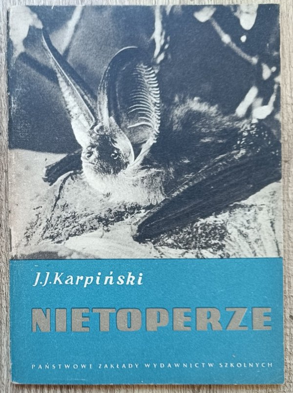 Jan Jerzy Karpiński Nietoperze
