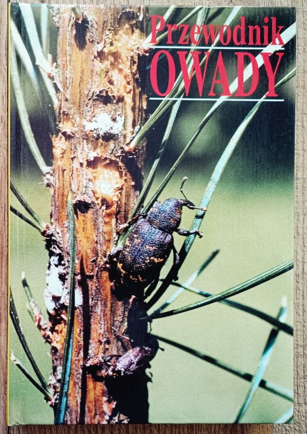 Jiri Zahradnik Owady. Przewodnik