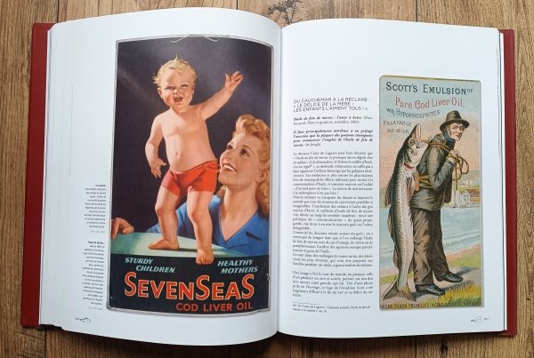 Loic Josse La Morue. Voyages et Usages