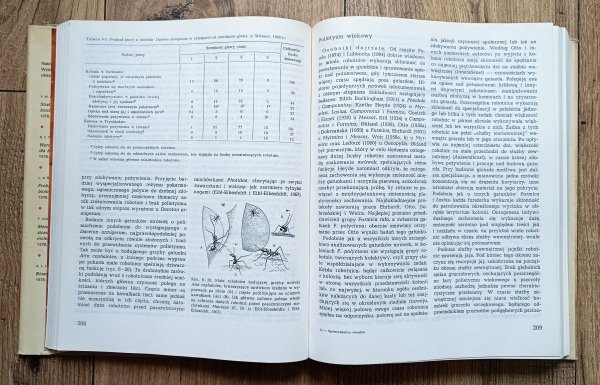 Edward Wilson Społeczeństwa owadów