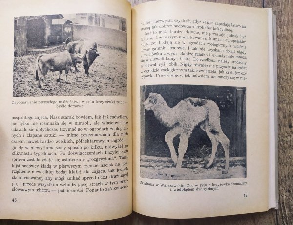 Jan Żabiński Przekrój przez ZOO