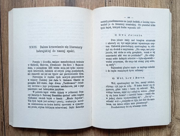 Przewodnik judaistyczny obejmujący kurs literatury i religii / reprint wydania z 1893 roku