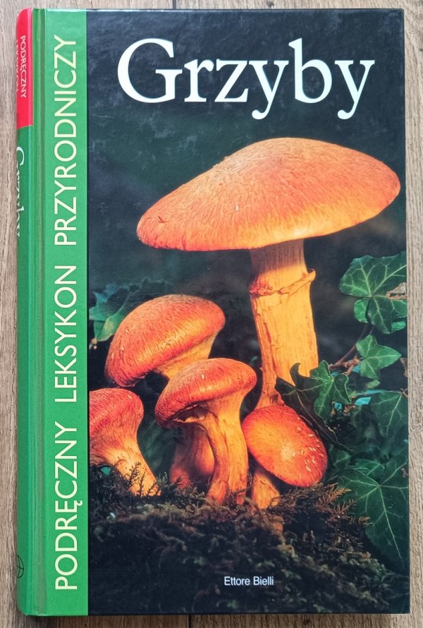 Grzyby. Podręczny leksykon przyrodniczy