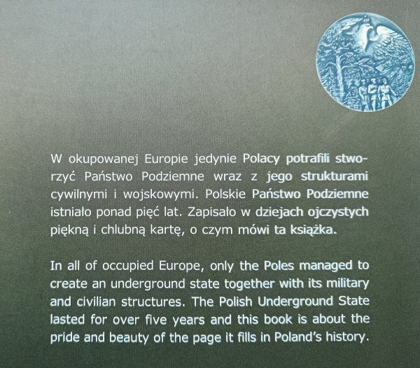 Stanisław Salmonowicz, Marek Ney-Krwawicz, Grzegorz Górski Polskie państwo podziemne