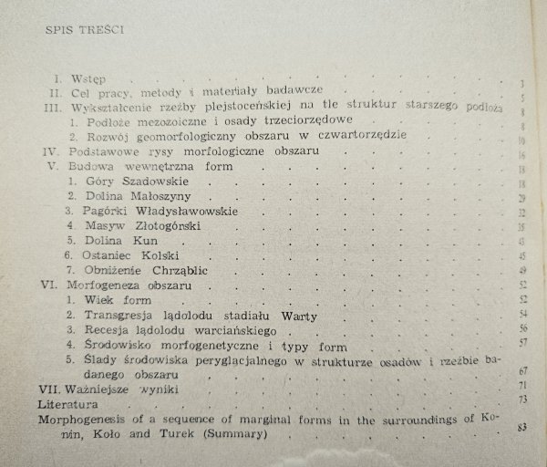 Piotr Kłysz Morfogeneza zespołu form marginalnych między Koninem, Kołem a Turkiem