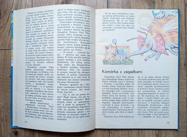 Mirosław Stecewicz, Leon Korn Latająca ośmiornica