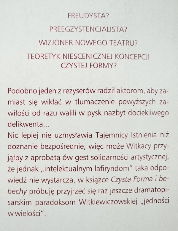 Ewa Łubieniewska Czysta Forma i bebechy