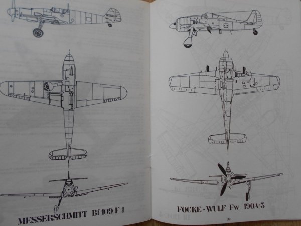 Grzegorz Przysuski • Myśliwskie lotnictwo Luftwaffe. Historia i barwa