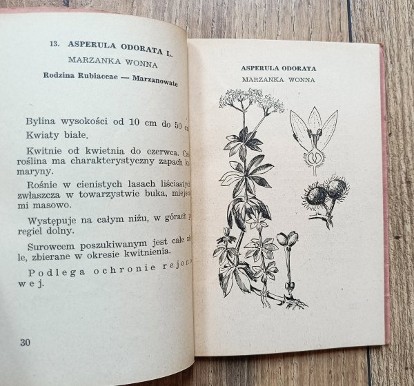 60 roślin leczniczych i przemysłowych