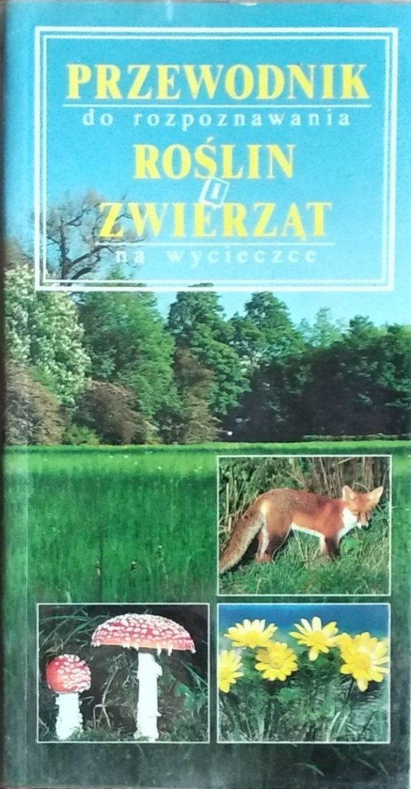 Ute Zimmer • Przewodnik do rozpoznawania roślin i zwierząt na wycieczce