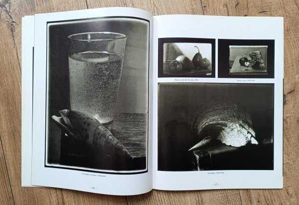 Josef Sudek: I Grandi Fotografi, Serie Argento